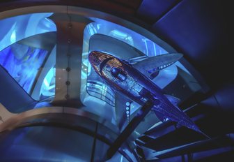 Superyacht charter MALTESE FALCON fish decor