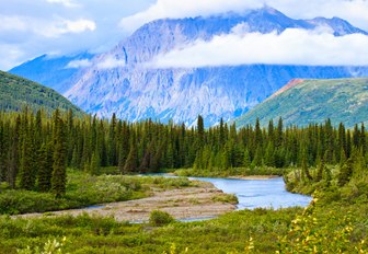 beautiful landscape of Alaska with forest and mountains