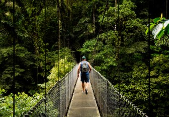 man walks along suspension bridge in the verdant Costa Rican rainforest