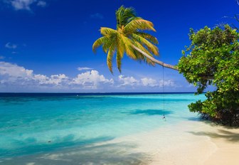 a white sand beach lapped by turquoise waters and lined with palm trees in the Maldives