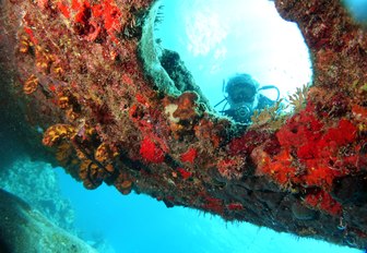 Diver at the Royal Mail Steamer Rhone sank 1867, Island Salt, British Virgin Island