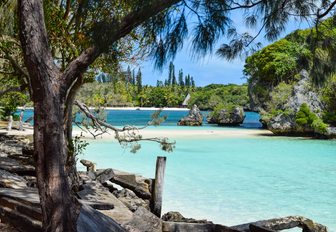 beautiful beach backed by pine trees on island in New Caledonia