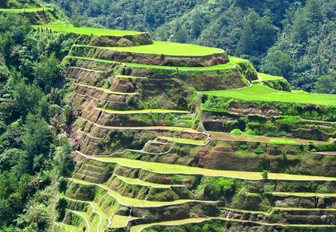 intricate rice terraces of Banaue in the north of the Phillippines