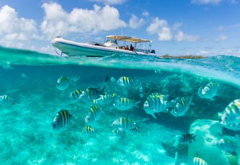 View above the turquoise water with glimpses of tropical fish and the charter yacht's tender