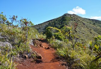 Sunny landscape, mountains around Mont-Dore, New Caledonia, South Pacific Ocean