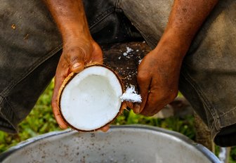 A man prepares a coconut over a bucket in Fiji