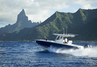 Motor Yacht VANTAGE & Support Vessel AD-VANTAGE Available In South Pacific photo 7