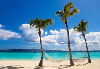 hammock strung between palm trees on White Bay in the British Virgin Islands