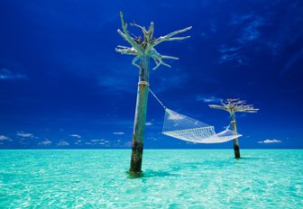 a hammock is tied to two trees in a secluded spot in the Maldives