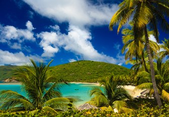 A tranquil sandy beach cove, Virgin Gorda, British Virgin Islands