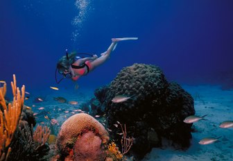 A woman in a red bikini scuba diving a reef in the Caribbean