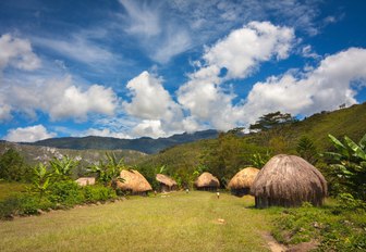 Traditional huts Papuans in Wamena, Papua New Guinea, surrounded by verdant green hills