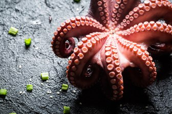 red octopus served in St Martin restaurant