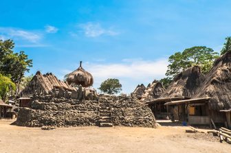 centre of ngada village lined with thatched roof houses