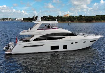 Paulasea yacht charter Princess Motor Yacht