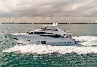 Freedom yacht charter Princess Motor Yacht
                                    