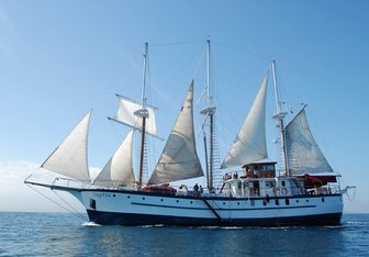 Sagitta yacht charter Fiddi Angermeyer Motor/Sailer Yacht
                                    