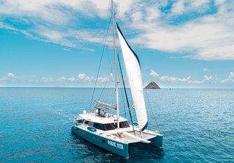 Dolcevitacat Yacht Charter in Cooper Island