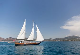 Diva Deniz yacht charter Custom Sail Yacht