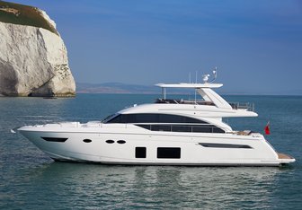 ShawLife yacht charter Princess Motor Yacht
                                    