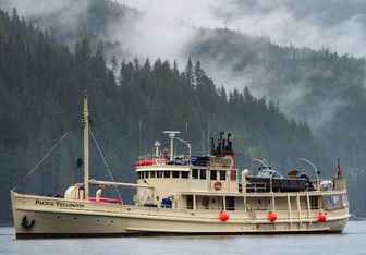 Pacific Yellowfin Yacht Charter in USA