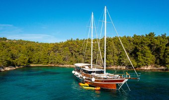 Alluree yacht charter Custom Sail Yacht