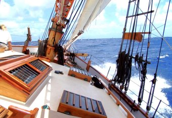 Tree Of Life yacht charter lifestyle
                        