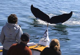 Discovery yacht charter lifestyle