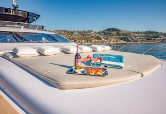 Baccarat yacht charter lifestyle
                        