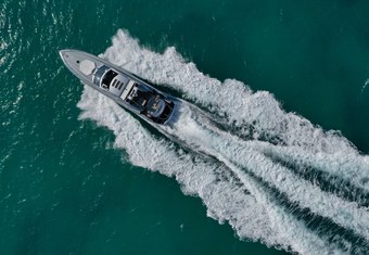 Lion yacht charter lifestyle
                        