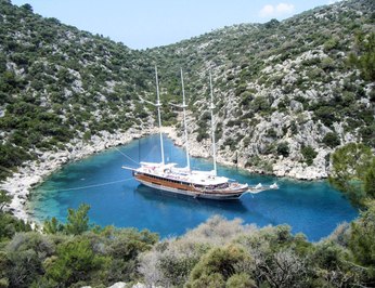 Grand Admiral photo 5