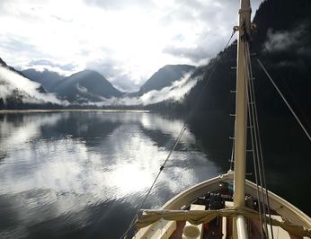 Pacific Yellowfin photo 33