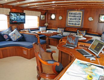 Gacela photo 44