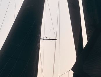 Seven photo 16