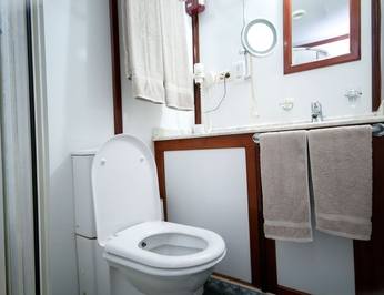 Dream Voyager photo 8