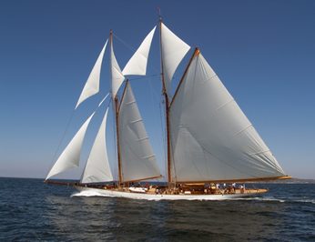 Main Profile - Sails