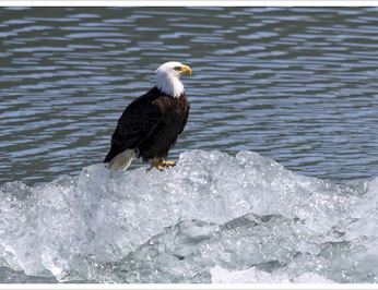 Discovery photo 14