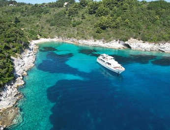 Stalca photo 35