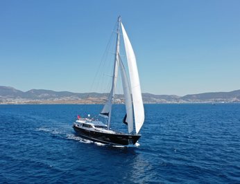 Canaria photo 38