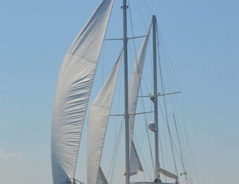 Gul Sultan photo 76