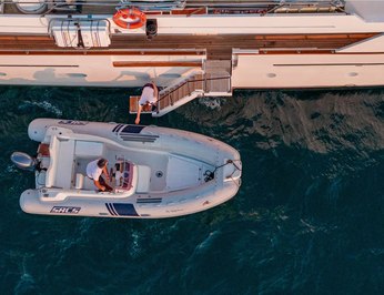 Nightflower photo 57