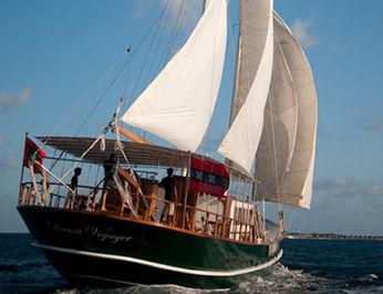 Dream Voyager photo 5