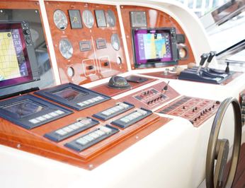 The Gorilla photo 17