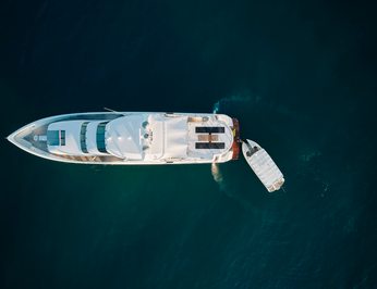 Flying Fish photo 83