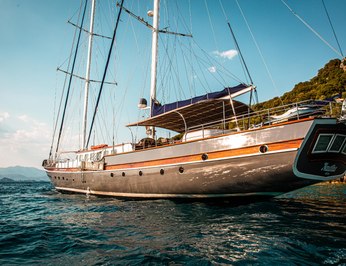 Nautilus photo 15