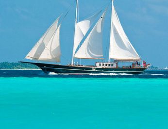 Dream Voyager photo 17