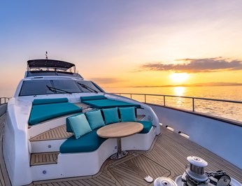 Hummingbird photo 65