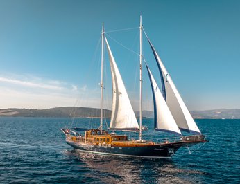 Smart Spirit 1 photo 11