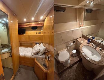 The Gorilla photo 10