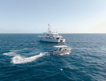 Beluga photo 5